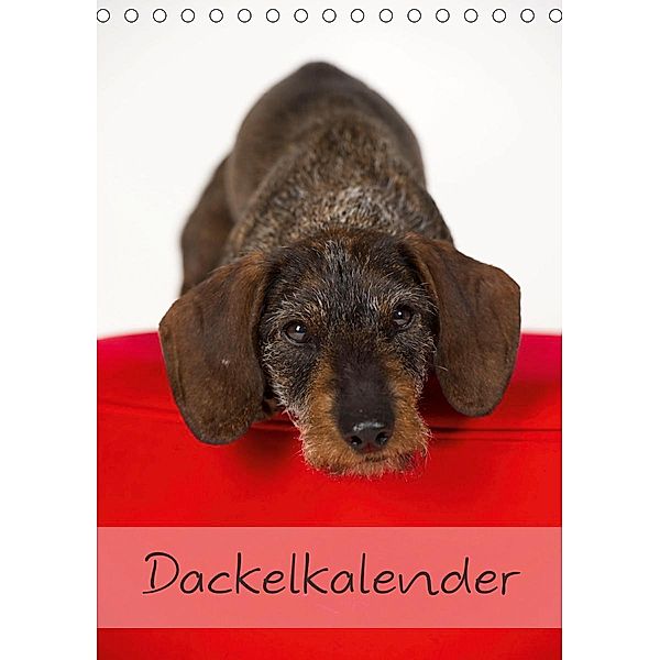 Dackel (Tischkalender 2021 DIN A5 hoch), Nicole Noack