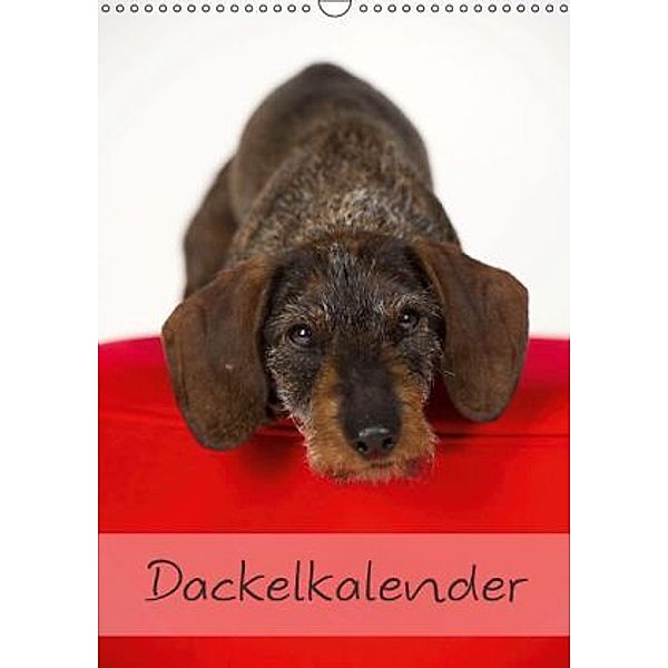 Dackel (Wandkalender 2015 DIN A3 hoch), Nicole Noack