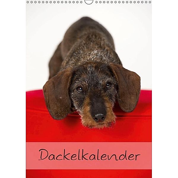 Dackel (Wandkalender 2017 DIN A3 hoch), Nicole Noack