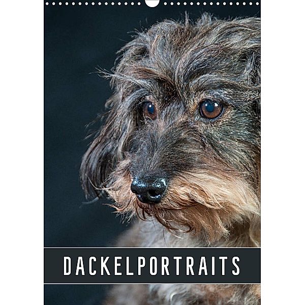 Dackelportraits (Wandkalender 2023 DIN A3 hoch), Susann Kuhr