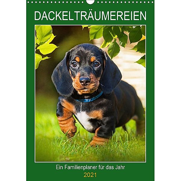 Dackelträume - Ein Familienplaner für das Jahr (Wandkalender 2021 DIN A3 hoch), Sigrid Starick