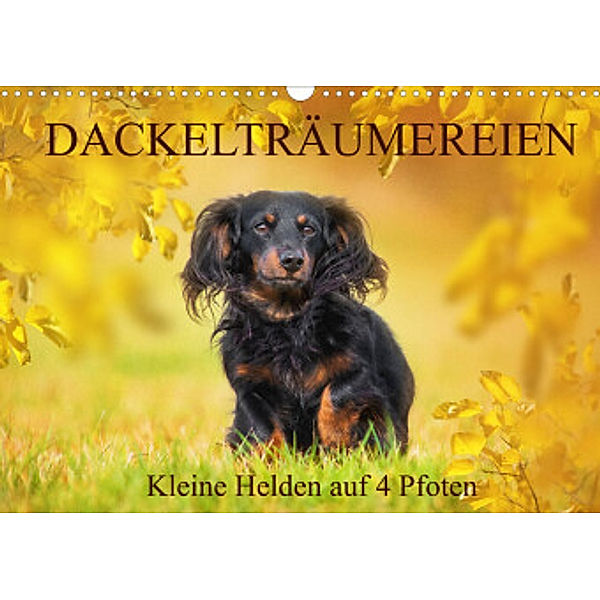 Dackelträumereien - Kleine Helden auf 4 Pfoten (Wandkalender 2022 DIN A3 quer), Sigrid Starick