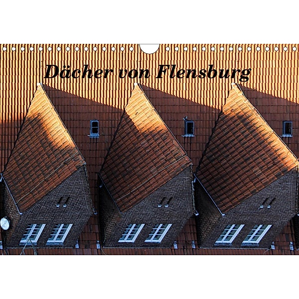 Dächer von Flensburg (Wandkalender 2021 DIN A4 quer), Malkidam