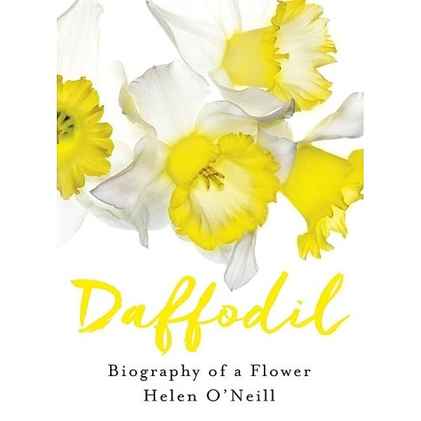 Daffodil, Helen O'Neill