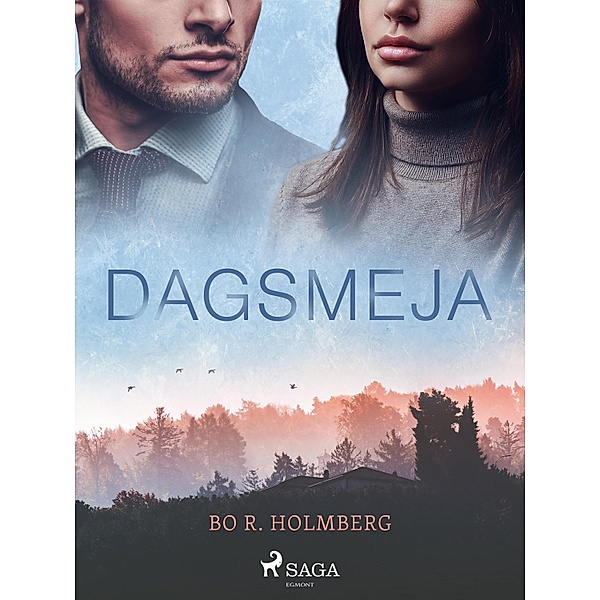 Dagsmeja, Bo R. Holmberg