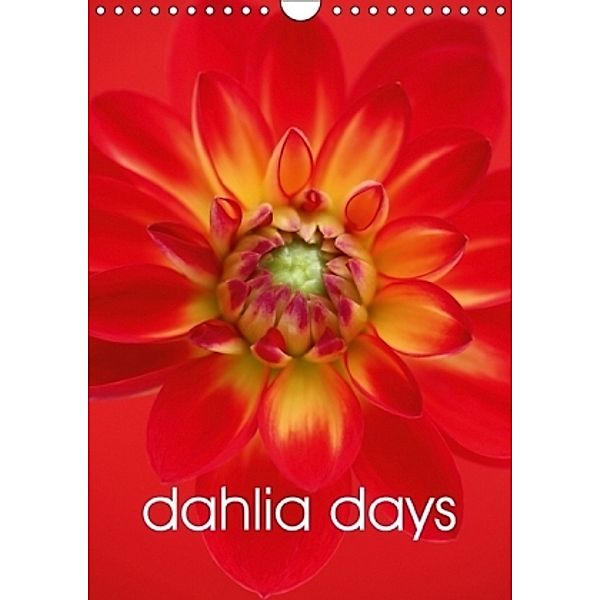 dahlia days (Wall Calendar 2017 DIN A4 Portrait), Brian Haslam