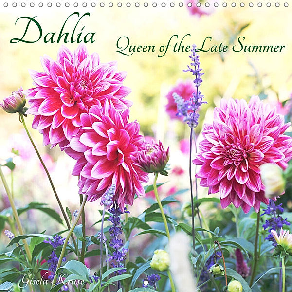 Dahlia Queen of the Late Summer (Wall Calendar 2023 300 × 300 mm Square), Gisela Kruse