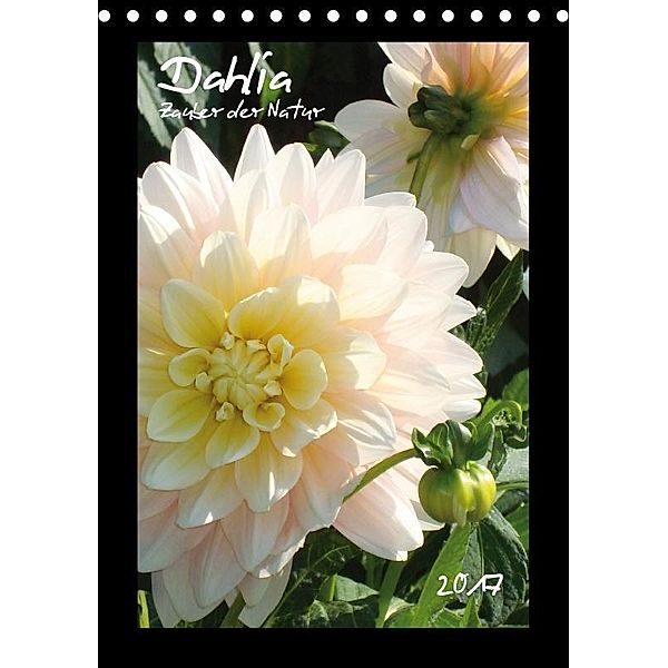 Dahlia - Zauber der Natur (Tischkalender 2017 DIN A5 hoch), Andrea Duetsch