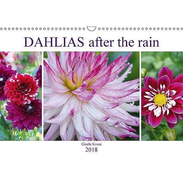 Dahlias after the rain (Wall Calendar 2018 DIN A3 Landscape), Gisela Kruse