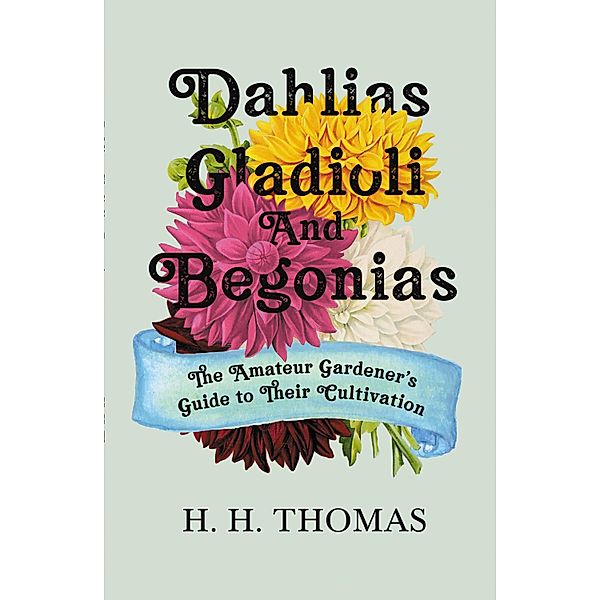 Dahlias, Gladioli and Begonias, H. H. Thomas