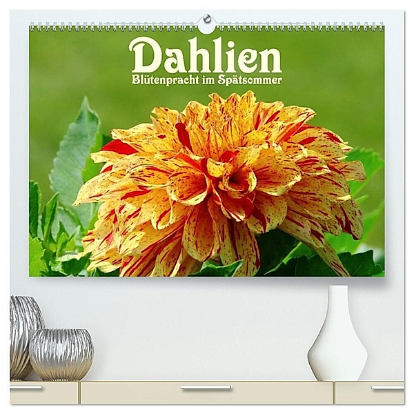 Dahlien - Blütenpracht im Spätsommer (hochwertiger Premium Wandkalender 2024 DIN A2 quer), Kunstdruck in Hochglanz, LianeM
