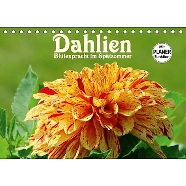 Dahlien - Blütenpracht im Spätsommer (Tischkalender 2017 DIN A5 quer), LianeM