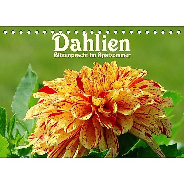 Dahlien - Blütenpracht im Spätsommer (Tischkalender 2023 DIN A5 quer), LianeM