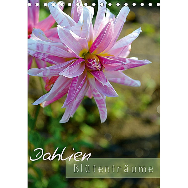 Dahlien - Blütenträume (Tischkalender 2019 DIN A5 hoch), Ulrike Kröll