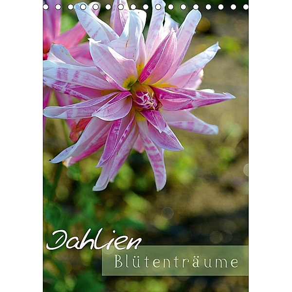 Dahlien - Blütenträume (Tischkalender 2021 DIN A5 hoch), Ulrike Kröll