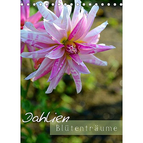 Dahlien - Blütenträume (Tischkalender 2023 DIN A5 hoch), Ulrike Kröll