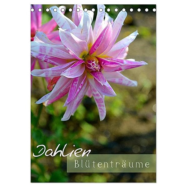 Dahlien - Blütenträume (Tischkalender 2025 DIN A5 hoch), CALVENDO Monatskalender, Calvendo, Ulrike Kröll