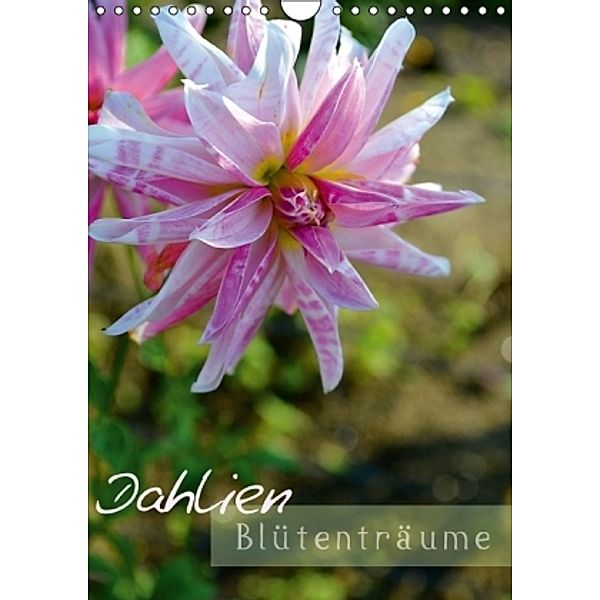 Dahlien - Blütenträume (Wandkalender 2015 DIN A4 hoch), Ulrike Kröll