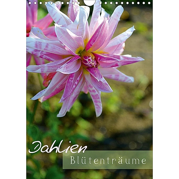 Dahlien - Blütenträume (Wandkalender 2021 DIN A4 hoch), Ulrike Kröll