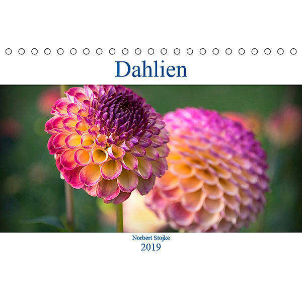 Dahlien - Blumenwunder der Natur (Tischkalender 2019 DIN A5 quer), Norbert Stojke