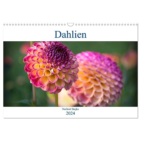 Dahlien - Blumenwunder der Natur (Wandkalender 2024 DIN A3 quer), CALVENDO Monatskalender, Norbert Stojke