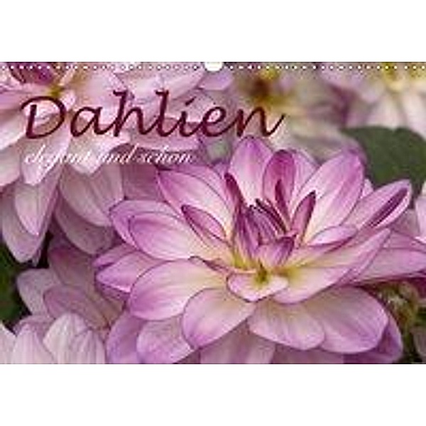 Dahlien - elegant und schön (Wandkalender 2019 DIN A3 quer), Joachim Barig