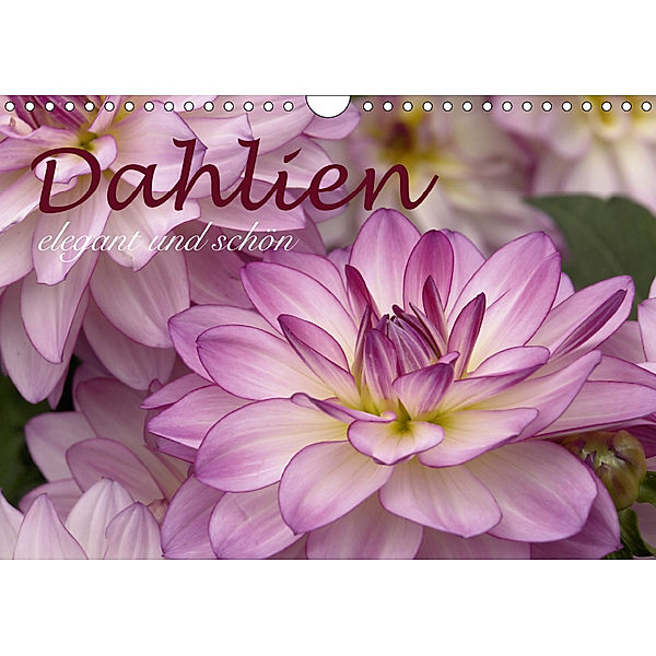 Dahlien - elegant und schön (Wandkalender 2019 DIN A4 quer), Joachim Barig