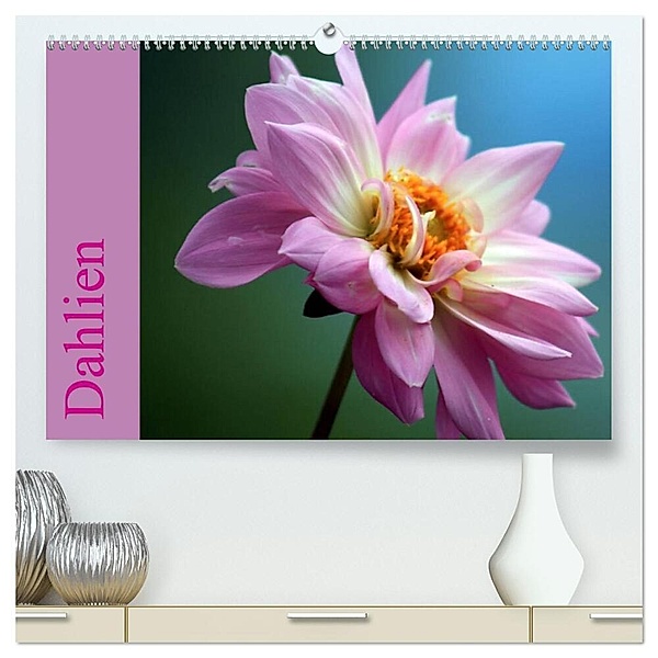 Dahlien (hochwertiger Premium Wandkalender 2024 DIN A2 quer), Kunstdruck in Hochglanz, Sabine Menz