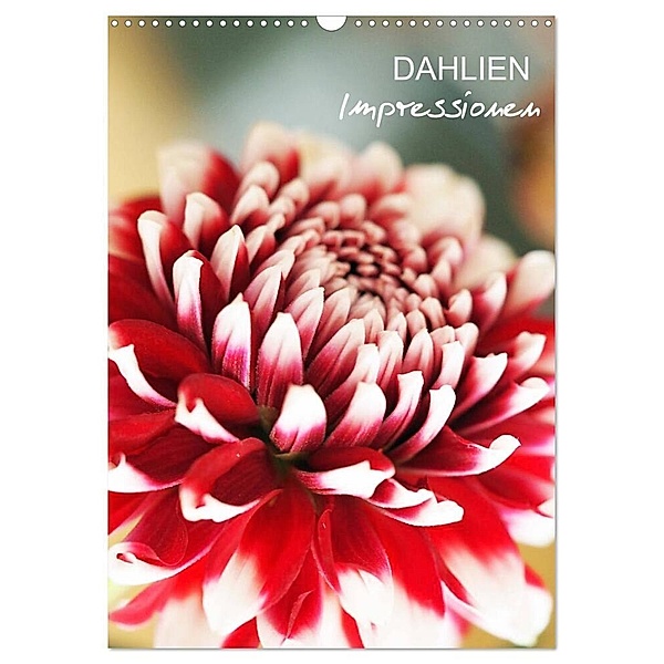 Dahlien Impressionen (Wandkalender 2024 DIN A3 hoch), CALVENDO Monatskalender, VogtArt