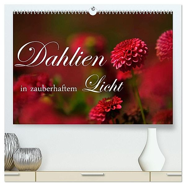 Dahlien in zauberhaftem Licht (hochwertiger Premium Wandkalender 2024 DIN A2 quer), Kunstdruck in Hochglanz, Brigitte Stehle