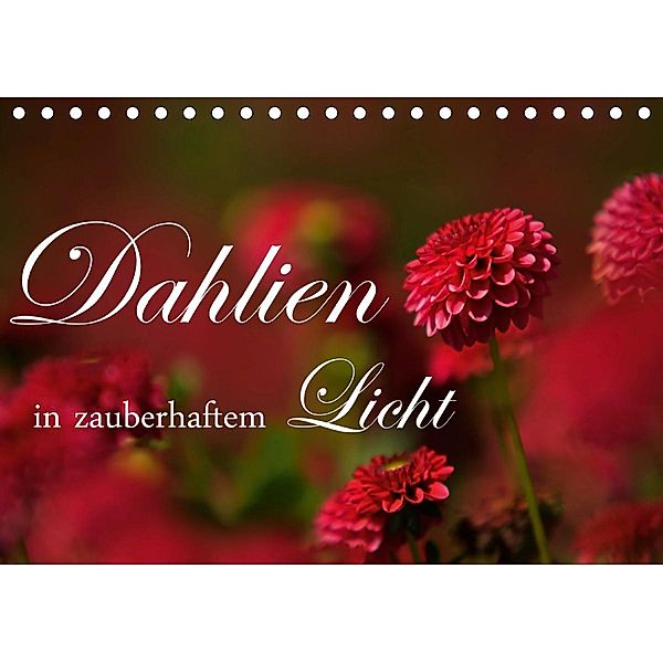 Dahlien in zauberhaftem Licht (Tischkalender 2021 DIN A5 quer), Brigitte Stehle