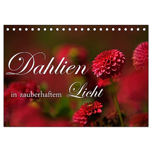 Dahlien in zauberhaftem Licht (Tischkalender 2024 DIN A5 quer), CALVENDO Monatskalender, Brigitte Stehle