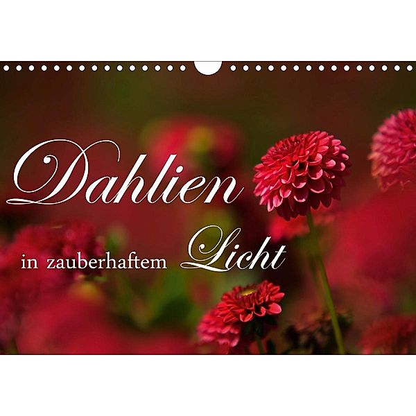 Dahlien in zauberhaftem Licht (Wandkalender 2021 DIN A4 quer), Brigitte Stehle