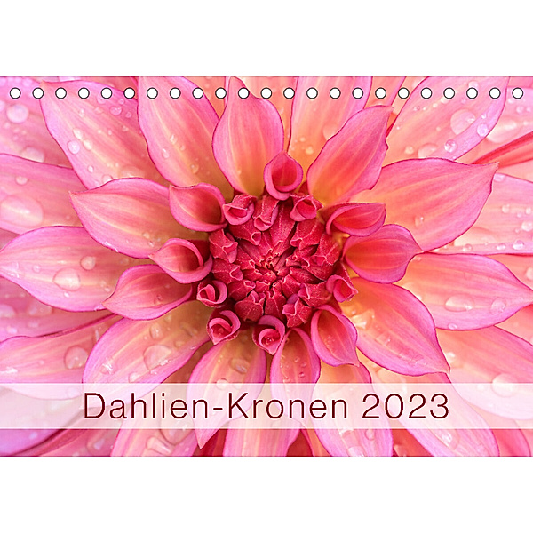 Dahlien-Kronen (Tischkalender 2023 DIN A5 quer), Rainer Plett