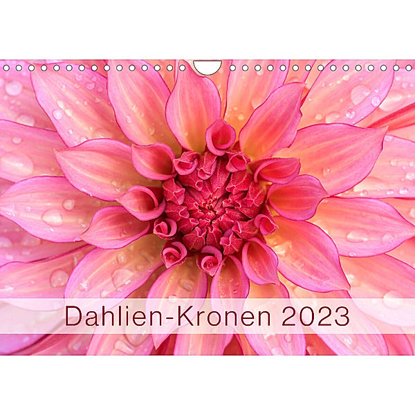 Dahlien-Kronen (Wandkalender 2023 DIN A4 quer), Rainer Plett