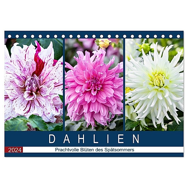 Dahlien - Prachtvolle Blüten des Spätsommers (Tischkalender 2024 DIN A5 quer), CALVENDO Monatskalender, Dieter Meyer