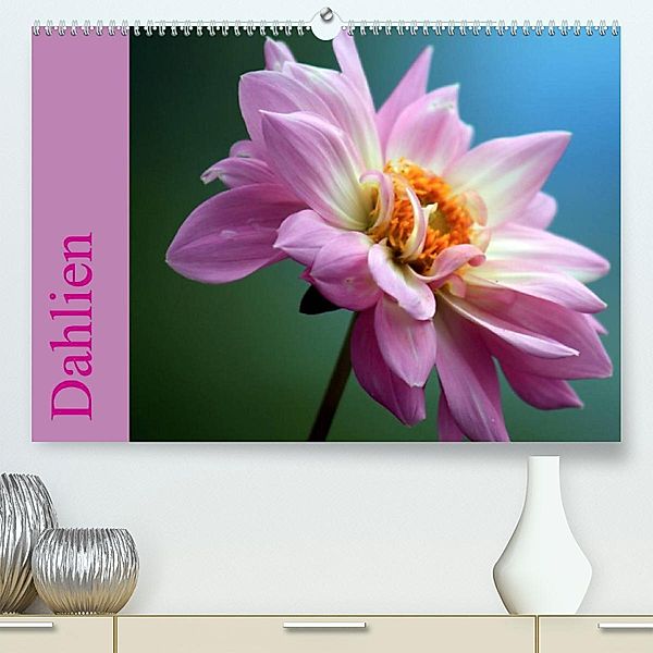 Dahlien (Premium, hochwertiger DIN A2 Wandkalender 2023, Kunstdruck in Hochglanz), Sabine Menz