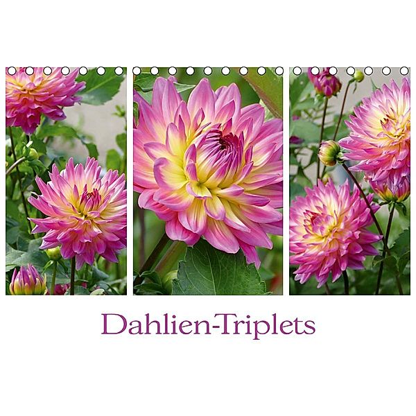 Dahlien-Triplets (Tischkalender 2020 DIN A5 quer), Christine B-B Müller