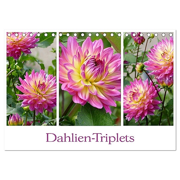 Dahlien-Triplets (Tischkalender 2024 DIN A5 quer), CALVENDO Monatskalender, Christine B-B Müller