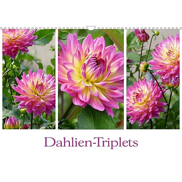 Dahlien-Triplets (Wandkalender 2023 DIN A3 quer), Christine B-B Müller