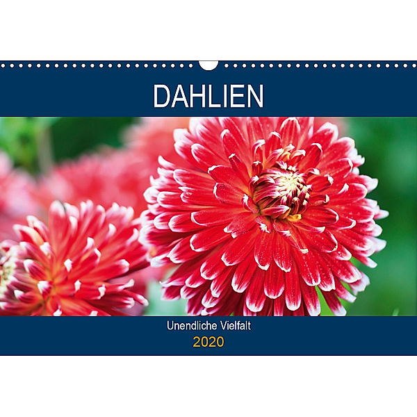 Dahlien - Unendliche Vielfalt (Wandkalender 2020 DIN A3 quer), Juergen Schonnop