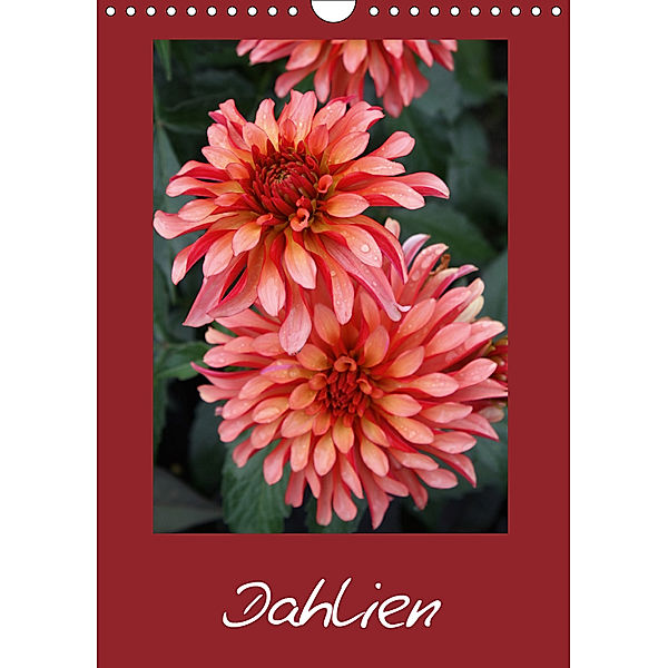 Dahlien (Wandkalender 2019 DIN A4 hoch), Elke Müller