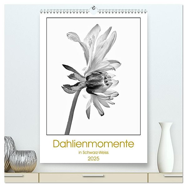 Dahlienmomente (hochwertiger Premium Wandkalender 2025 DIN A2 hoch), Kunstdruck in Hochglanz, Calvendo, Clemens Stenner