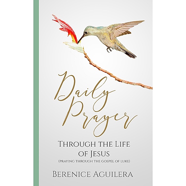 Daily Prayer through the Life of Jesus (Praying through the Gospel of Luke) / Daily Prayer, Berenice Aguilera