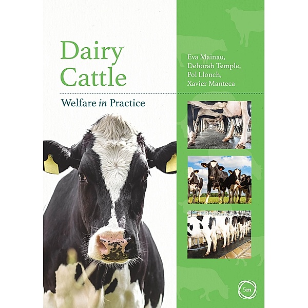 Dairy Cattle Welfare in Practice, Eva Mainau, Deborah Temple, Pol Llonch, Xavier Manteca
