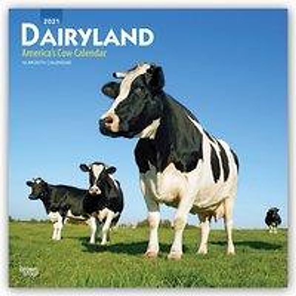 Dairyland - America's Cow Calendar - Molkereiland - Amerikas Kuh-Kalender 2021 - 16-Monatskalender, BrownTrout Publisher