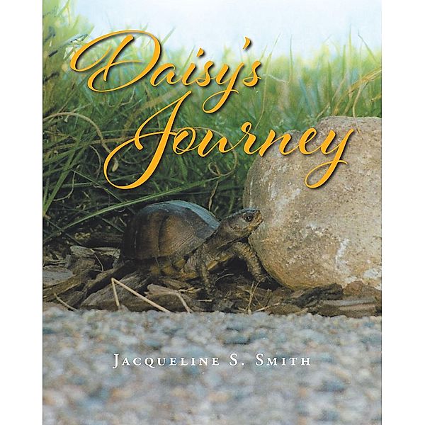 Daisy's Journey, Jacqueline S. Smith