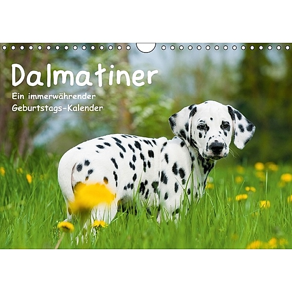 Dalmatiner - Ein immerwährender Geburtstags-Kalender (Wandkalender immerwährend DIN A4 quer), Judith Dzierzawa