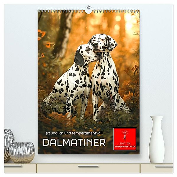 Dalmatiner - freundlich und temperamentvoll (hochwertiger Premium Wandkalender 2025 DIN A2 hoch), Kunstdruck in Hochglanz, Calvendo, Peter Roder