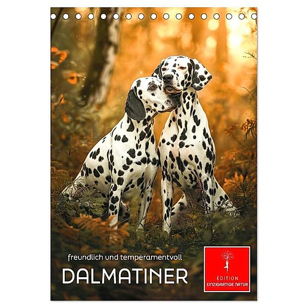 Dalmatiner - freundlich und temperamentvoll (Tischkalender 2025 DIN A5 hoch), CALVENDO Monatskalender, Calvendo, Peter Roder